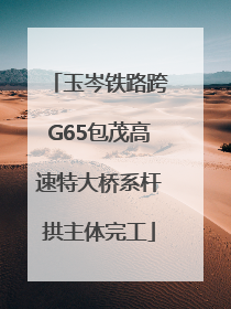 玉岑铁路跨G65包茂高速特大桥系杆拱主体完工