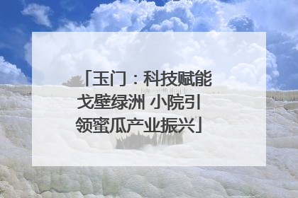 玉门：科技赋能戈壁绿洲 小院引领蜜瓜产业振兴