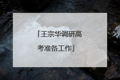 王宗华调研高考准备工作