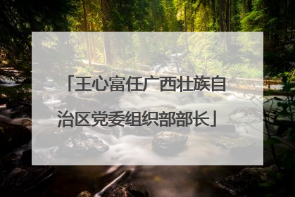 王心富任广西壮族自治区党委组织部部长