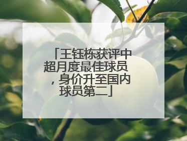 王钰栋获评中超月度最佳球员，身价升至国内球员第二