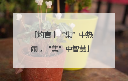 灼言丨“集”中热闹，“集”中智慧