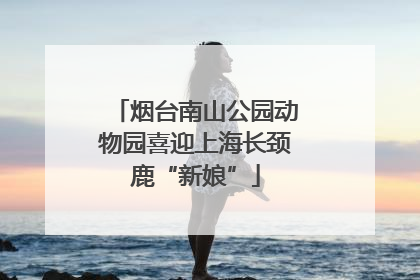 烟台南山公园动物园喜迎上海长颈鹿“新娘”