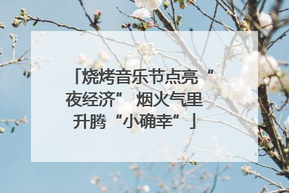 烧烤音乐节点亮“夜经济” 烟火气里升腾“小确幸”
