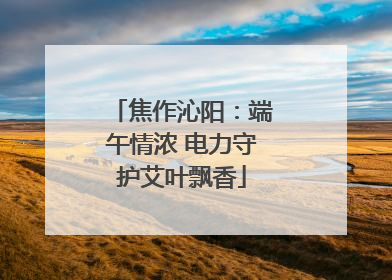 焦作沁阳：端午情浓 电力守护艾叶飘香