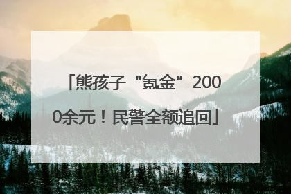 熊孩子“氪金”2000余元！民警全额追回