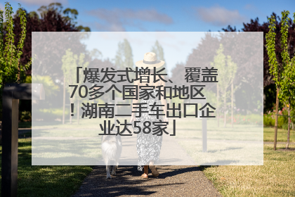 爆发式增长、覆盖70多个国家和地区！湖南二手车出口企业达58家