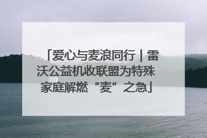 爱心与麦浪同行｜雷沃公益机收联盟为特殊家庭解燃“麦”之急