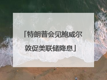 特朗普会见鲍威尔 敦促美联储降息