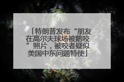 特朗普发布“朋友在高尔夫球场被鹅咬”照片，被咬者疑似美国中东问题特使