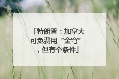 特朗普：加拿大可免费用“金穹”，但有个条件