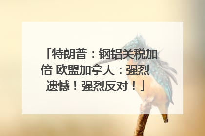 特朗普：钢铝关税加倍 欧盟加拿大：强烈遗憾！强烈反对！