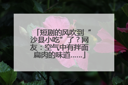 短剧的风吹到“沙县小吃”了？网友：空气中有拌面扁肉的味道……