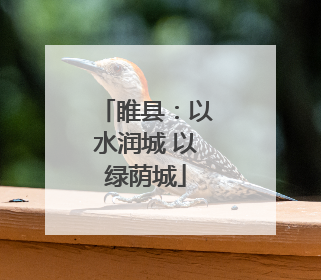 睢县：以水润城 以绿荫城