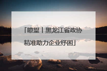 瞭望丨黑龙江省政协精准助力企业纾困