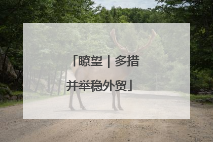 瞭望｜多措并举稳外贸