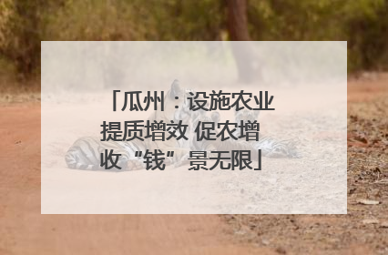 瓜州：设施农业提质增效 促农增收“钱”景无限
