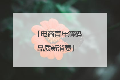 电商青年解码品质新消费