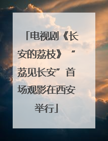 电视剧《长安的荔枝》“荔见长安”首场观影在西安举行