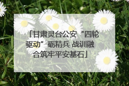 甘肃灵台公安“四轮驱动”砺精兵 战训融合筑牢平安基石