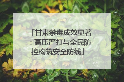 甘肃禁毒成效显著：高压严打与全民防控构筑安全防线