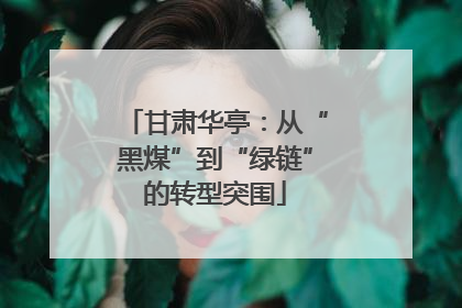 甘肃华亭：从“黑煤”到“绿链”的转型突围