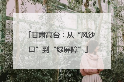 甘肃高台：从“风沙口”到“绿屏障”