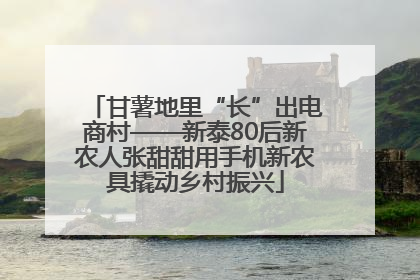 甘薯地里“长”出电商村——新泰80后新农人张甜甜用手机新农具撬动乡村振兴