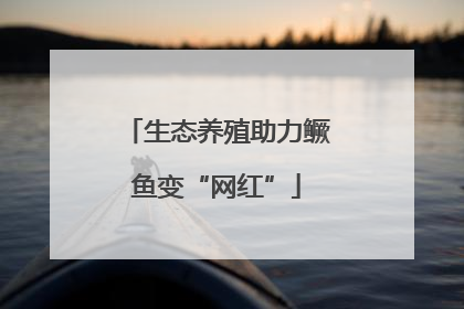 生态养殖助力鳜鱼变“网红”