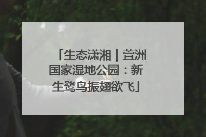 生态潇湘｜萱洲国家湿地公园：新生鹭鸟振翅欲飞