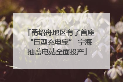 甬绍舟地区有了首座“巨型充电宝” 宁海抽蓄电站全面投产