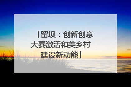 留坝：创新创意大赛激活和美乡村建设新动能