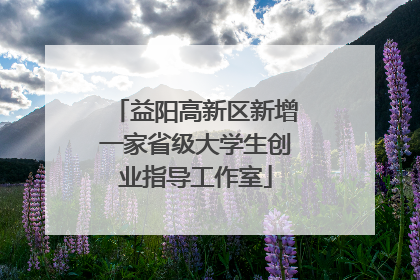 益阳高新区新增一家省级大学生创业指导工作室