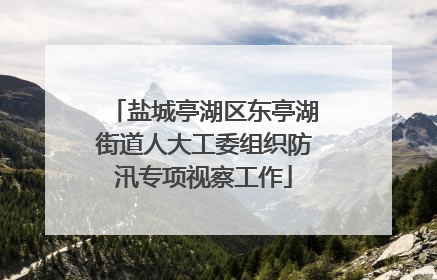 盐城亭湖区东亭湖街道人大工委组织防汛专项视察工作