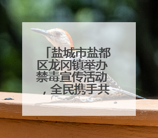 盐城市盐都区龙冈镇举办禁毒宣传活动，全民携手共筑禁毒防线