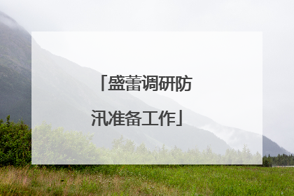 盛蕾调研防汛准备工作