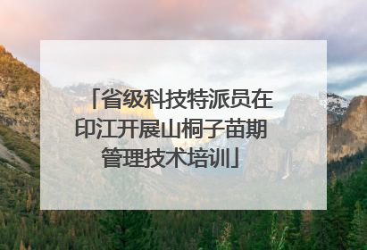 省级科技特派员在印江开展山桐子苗期管理技术培训