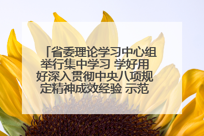 省委理论学习中心组举行集中学习 学好用好深入贯彻中央八项规定精神成效经验 示范带头持续推动全省学习教育走深走实