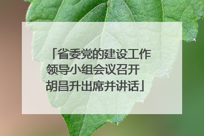 省委党的建设工作领导小组会议召开 胡昌升出席并讲话
