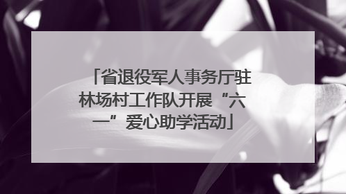 省退役军人事务厅驻林场村工作队开展“六一”爱心助学活动