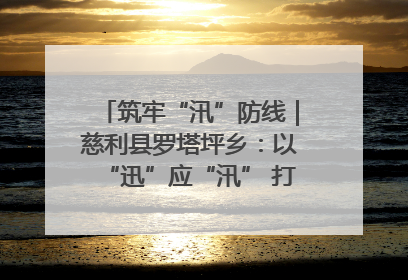 筑牢“汛”防线｜慈利县罗塔坪乡：以“迅”应“汛” 打赢暴雨防御战