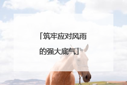 筑牢应对风雨的强大底气