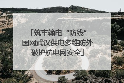 筑牢输电“防线” 国网武汉供电多维防外破护航电网安全