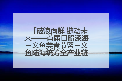 破浪向鲜 链动未来——首届日照深海三文鱼美食节暨三文鱼陆海统筹全产业链发展会议嘉宾访谈