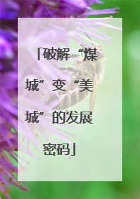 破解“煤城”变“美城”的发展密码