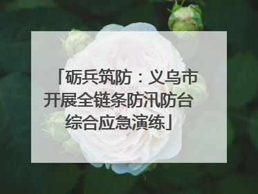 砺兵筑防：义乌市开展全链条防汛防台综合应急演练