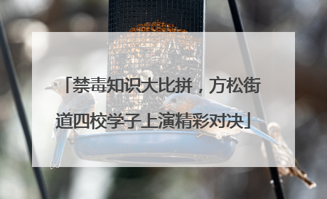 禁毒知识大比拼，方松街道四校学子上演精彩对决