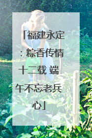 福建永定：粽香传情十二载 端午不忘老兵心