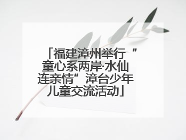 福建漳州举行“童心系两岸·水仙连亲情”漳台少年儿童交流活动