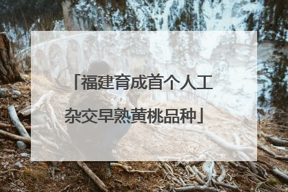福建育成首个人工杂交早熟黄桃品种